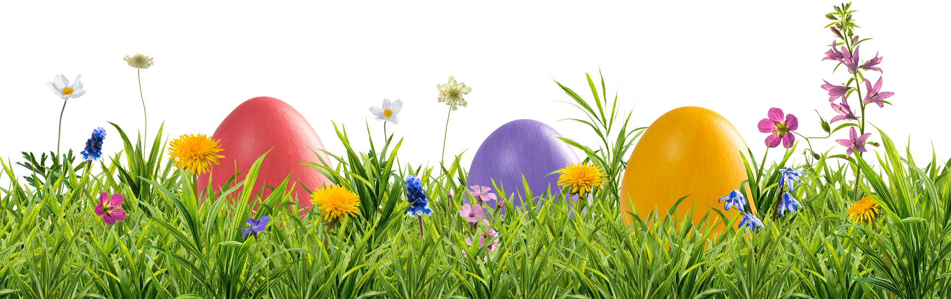 AdobeStock 1946447295 web